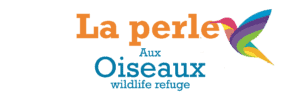 La perle aux oiseaux